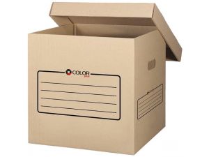 PUDŁO ARCHIWIZACYJNE COLORPLUS Z WIEKIEM 330X330X330MM