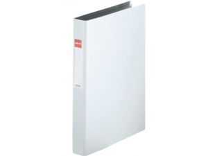 SEGREGATOR 2-RINGOWY ESSELTE A4 42 MM BIAŁY
