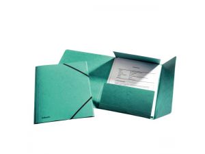 TECZKA Z GUMKĄ PRESZPANOWA ESSELTE ZIELONA