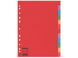 PRZEKŁADKI KARTONOWE ESSELTE A4 12 KART MIX