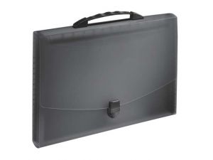 TECZKA SEGREGUJĄCA ESSELTE VIVIDA CZARNA Z RĄCZKĄ 12 PRZEGRÓDEK