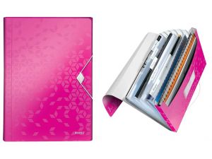 TECZKA SEGREGUJĄCA LEITZ WOW RÓŻOWA 6 PRZEGRÓDEK