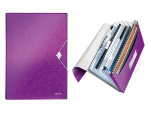 TECZKA SEGREGUJĄCA LEITZ WOW FIOLETOWA 6 PRZEGRÓDEK