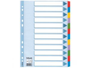 PRZEKŁADKI KARTONOWE ESSELTE MYLAR A4 12 KART KOLOROWE