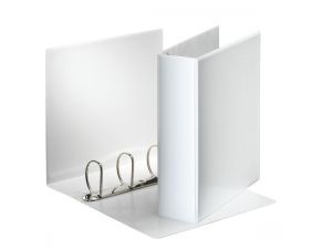 SEGREGATOR OFERTOWY ESSELTE A4 86 MM PANORAMA EKONOMICZNY BIAŁY