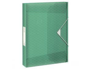TECZKA Z GUMKĄ ESSELTE COLOUR`ICE 40MM ZIELONA PP