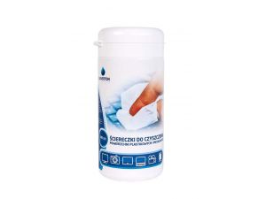 ŚCIERECZKI DO PLASTIKU CLEVERTON 100 SZT.