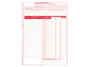 D ARKUSZ SPISU Z NATURY A4 2SKŁ. 341-1 DRUK