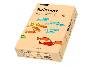 PAPIER KSERO RAINBOW A4 160G ŁOSOŚ R40 