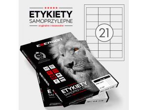 ETYKIETA EMERSON 63X38MM 100 ARKUSZY 