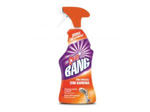 SPRAY DO CZYSZCZENIA CILLIT BANG KAMIEŃ I BRUD 750ML