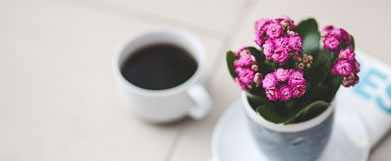 Zadbaj o swoje biuro